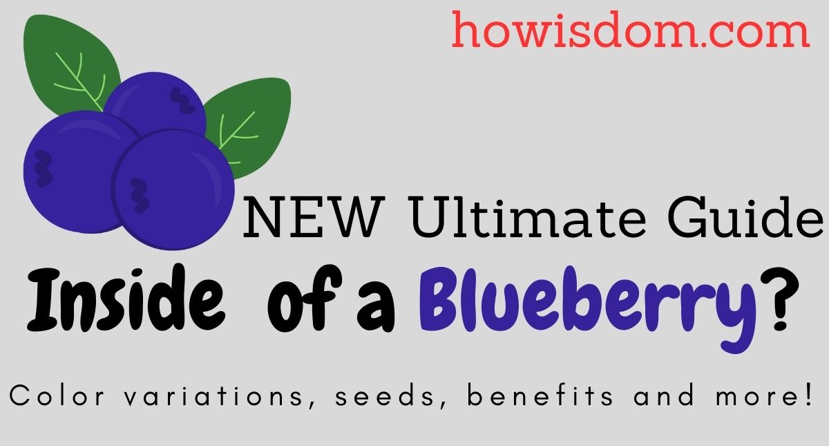 inside of a blueberry